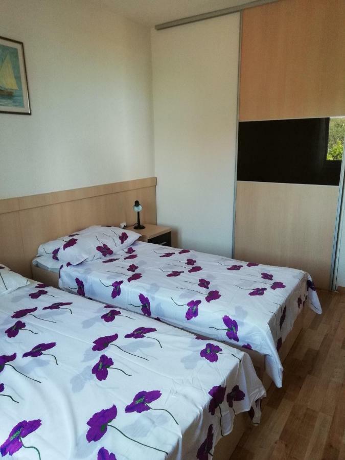 רוגוזניצה Apartment Zdene מראה חיצוני תמונה